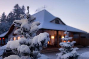 Winter Already? Rental Property Furnace Maintenance Tips