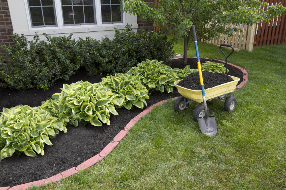 low maintenance landscaping