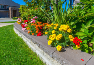 Affordable Ways to Boost a Property’s Curb Appeal